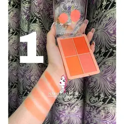 پلت رژگونه ۴ تایی ANYLADY