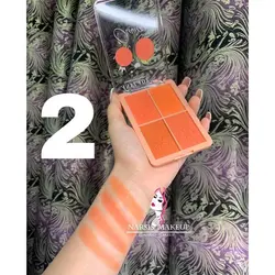 پلت رژگونه ۴ تایی ANYLADY