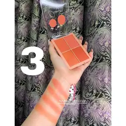 پلت رژگونه ۴ تایی ANYLADY