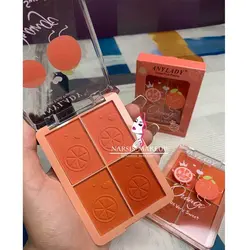 پلت رژگونه ۴ تایی ANYLADY