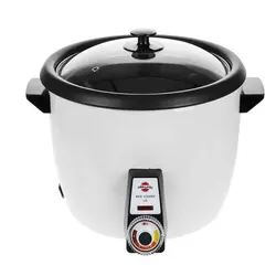 پلوپز پارس خزر مدل RC-361TSW | فروشگاه اینترنتی نگین خانه