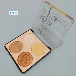 هایلایتر Fruit Color کد8496