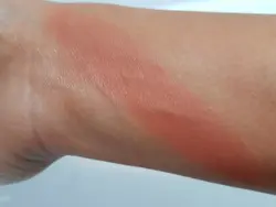 رژگونه پد دار پودری برند کیس بیوتی کد ر۴۰۳