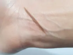 مداد ابرو اسنس کد م۵