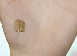 ریمل ابرو نوت