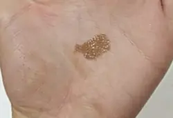 ریمل ابرو نوت