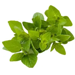 خالیواش خشک شده