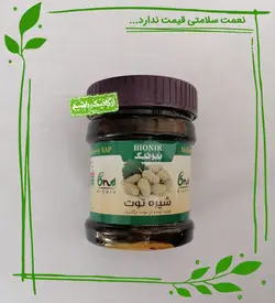 شیره توت ارگانیک بیونیک - 450 گرم