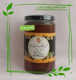 عسل آویشن ارگانیک سارال - 450 گرم