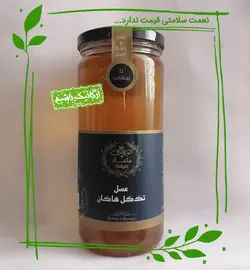 عسل سالم (طبیعی) بهارنارنج هاکان - 600 گرم