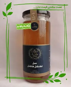 عسل سالم (طبیعی) کوهستان زاگرس هاکان - 600 گرم