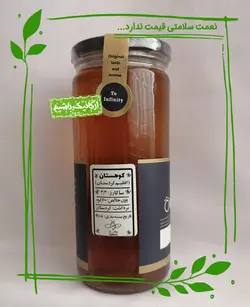 عسل سالم (طبیعی) کوهستان کردستان هاکان - 600 گرم