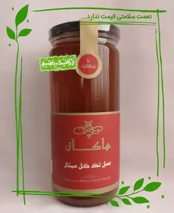 عسل سالم (طبیعی) گشنیز هاکان - 600 گرم