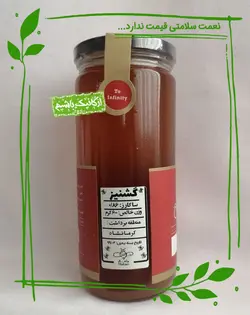 عسل سالم (طبیعی) گشنیز هاکان - 600 گرم