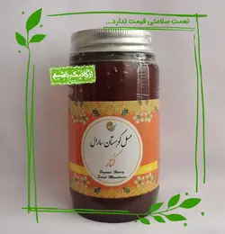 عسل کنار ارگانیک سارال - 700 گرم