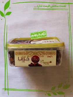 چیپس خرما ارگانیک مانادیت - 230 گرم