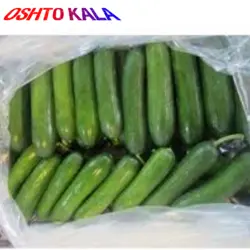 خیار درجه 1