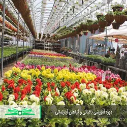 دوره آموزشی باغبانی و گیاهان آپارتمانی