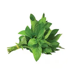 ریحان بسته 250 گرمی