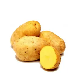 سیب زمینی یک کیلوگرم