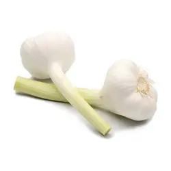 سیرتازه 500 گرم