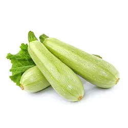 کدو سبز یک کیلوگرم