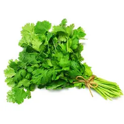 گشنیز بسته 250 گرمی
