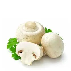 قارچ خوراکی نیم کیلو