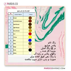رنگ تاتو پلاس هرلیچ ( پایه آب )