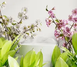 طراحی مینیمال تریبون ارائه محصول با پس زمینه رنگی سفید. رندر سه بعدی