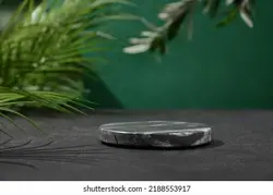 Composition with podium for design your cosmetic products with black marble stand with tropical leaves on green background with shadow. | ترکیب با تریبون برای طراحی محصولات آرایشی خود با پایه مرمر سیاه با برگهای گرمسیری روی پس زمینه سبز با سایه. – آکادمی پرنیان طرح