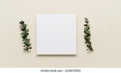 Square invitation card mockup with eucalyptus leaves top view, flat lay, beige background, minimalist style | Mockup Card دعوت مربع با اکالیپتوس از نمای بالایی ، مسطح مسطح ، پس زمینه بژ ، سبک مینیمالیستی استفاده می کند – آکادمی پرنیان طرح