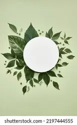 White round template podium mockup natural organic cosmetic product presentation ad with green fresh leaves nature frame flat lay background trendy stylish minimalist flatlay vertical yellow backdrop. | الگوی گرد سفید تریبون تریبون مدل آرایشی آرایشی طبیعی آگهی با برگهای تازه سبز آگهی با برگهای تازه سبز قاب طبیعت مسطح ، پس زمینه زیبا و مد روز مدالیک مینیمالیستی مینیمالیک فلات عمودی عمودی. – آکادمی پرنیان طرح