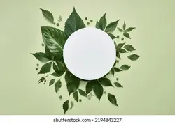 White round template podium mockup natural organic cosmetic product presentation advertisement with green fresh leaves nature frame flat lay background trendy stylish minimalist flatlay backdrop. | الگوی گرد سفید تریبون Mockup طبیعی ارگانیک آرایشی و بهداشتی تبلیغاتی با برگهای تازه سبز با برگهای تازه سبز قاب طبیعت مسطح ، پس زمینه مینیسم مد روز مد روز مینیمالیستی مد روز. – آکادمی پرنیان طرح