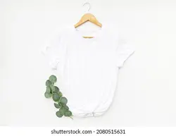 White t shirt on hanger with eucalyptus isolated on white background. Simple white t shirt mock up for your design | پیراهن T سفید روی چوب لباسی با اکالیپتوس که در پس زمینه سفید جدا شده است.پیراهن سفید ساده برای طراحی شما مسخره می شود – آکادمی پرنیان طرح