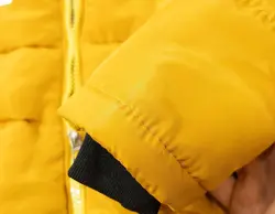 کاپشن میکی موس