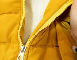 کاپشن میکی موس