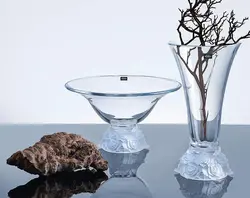 میوه پایه رز بوهمیا چک