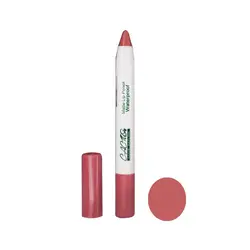 رژلب مدادی کاکتوس شماره 51