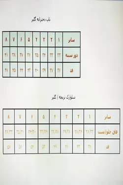 ست دخترانه گلپر