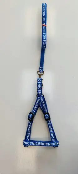 قلاده بدنی سگ