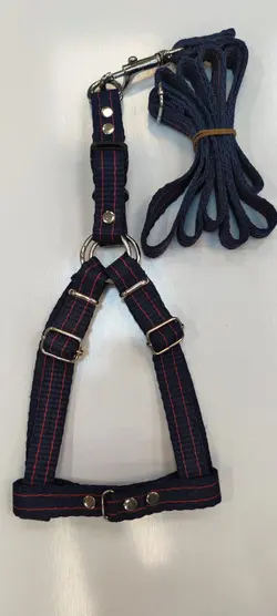 قلاده بدنی سگ - پت استور - فروشگاه حیوانات خانگی