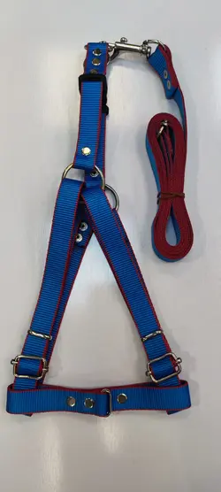 قلاده بدنی سگ