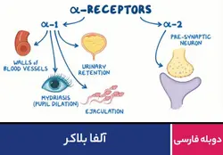آلفا بلاکر