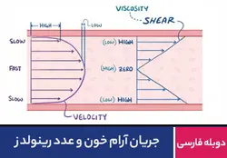 جریان آرام خون و عدد رینولدز