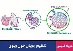 تنظیم جریان خون ریوی