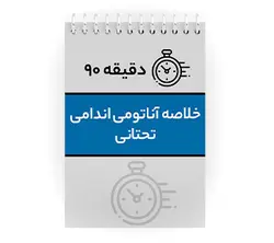 دانلود پی دی اف ( pdf ) جزوه دقیقه ۹۰ خلاصه آناتومی اندام تحتانی