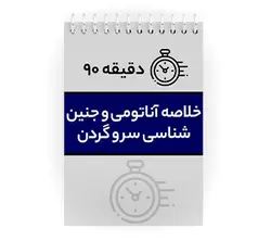 دانلود پی دی اف ( pdf ) جزوه دقیقه ۹۰ خلاصه آناتومی و جنین شناسی سر و گردن
