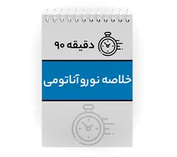 دانلود پی دی اف ( pdf ) جزوه دقیقه ۹۰ خلاصه نوروآناتومی