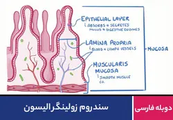 سندرم زولینگر الیسون